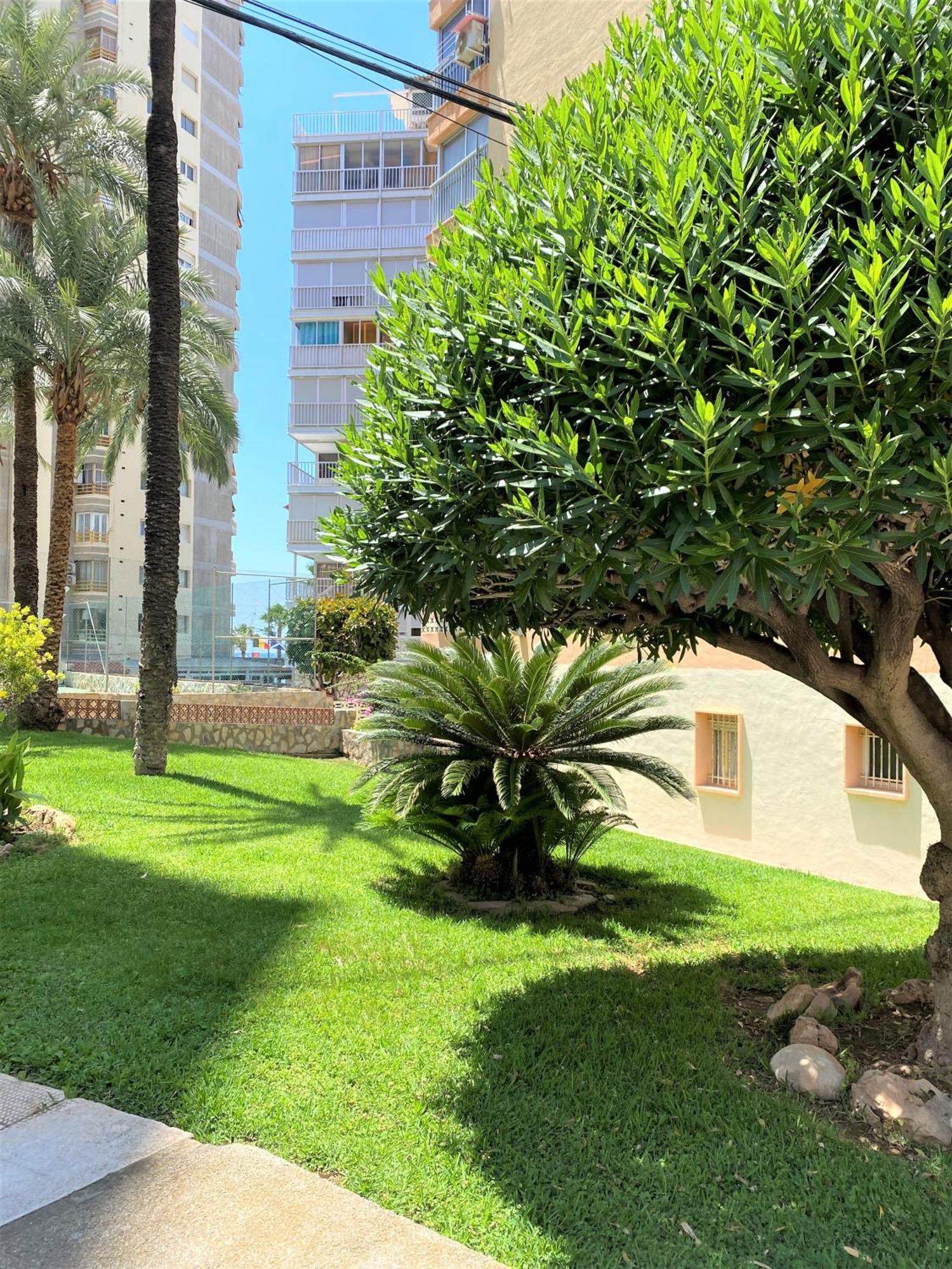 Carabelas Apartments Benidorm Exterior photo
